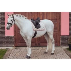 Equestrian Stockholm Dressage Saddle Pad Desert Rose -Equestrian Clothing Shop 0018ec27 0f5d 467a 9d0d f9c25d479868