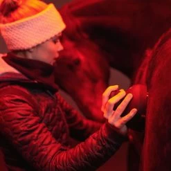 Wackaro Electronic Horse Massage And Grooming Device -Equestrian Clothing Shop 274589172 469611221311637 5288341802150871283 n