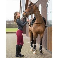 Brands Of Q Astana Brushing Boots Pair 13 Brands Of Q Astana Brushing Boots Pair -Equestrian Clothing Shop Astanabootblack3