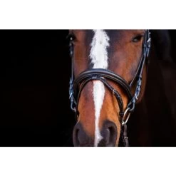 Horze Athena Bridle -Equestrian Clothing Shop Athenabridle.jpg4 7096f7fe 12b8 488c a2bf cae367c78819