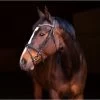 Horze Athena Bridle