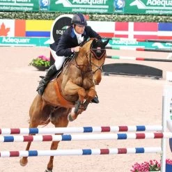 Majyk Equipe Boyd Martin Stadium Tendon Boots -Equestrian Clothing Shop BMJ2003andBMJ2004BOYDMARTINOLYMPICRIDERSTADIUMJUMPING