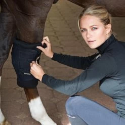 Back On Track Royal Padded Hock Boots -Equestrian Clothing Shop BOT RoyalHockBoot