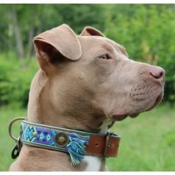 Dog With A Mission Boho Juan Fringed Dog Collar BLUE -Equestrian Clothing Shop BohoJuanlargedog