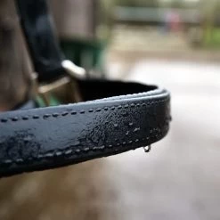 Equilibrium Stellar Weatherproof Breakaway Safety Halter -Equestrian Clothing Shop Care Video Thumbnail 1
