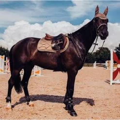 Equestrian Stockholm JUMP/All Purpose Saddle Pad Champagne -Equestrian Clothing Shop Champagne AP 1