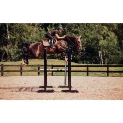 Equestrian Stockholm JUMP/All Purpose Saddle Pad Champagne -Equestrian Clothing Shop Champagne AP 2
