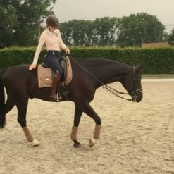 Equestrian Stockholm Dressage Saddle Pad Champagne 12 Equestrian Stockholm Dressage Saddle Pad Champagne -Equestrian Clothing Shop Champagne Dressage