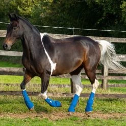 Equilibrium Equi Chaps Close Contact Wraps PAIR -Equestrian Clothing Shop Close Contact Chaps2