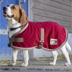 Equi Theme Diego And Louna Polar Fleece Dog Rug -Equestrian Clothing Shop Dogrugburg