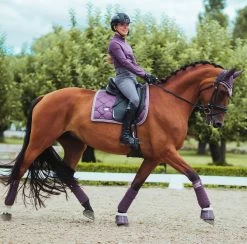 Equestrian Stockholm Ear Bonnet Orchid Bloom -Equestrian Clothing Shop Dressage2 c209eb89 3008 444d 9dda d6054c2722b1