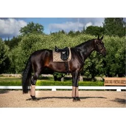 Equestrian Stockholm Fleece Bandages Champagne -Equestrian Clothing Shop ES Set Champagne 1