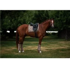 Equestrian Stockholm Fleece Bandages Champagne -Equestrian Clothing Shop ES Set Champagne 2