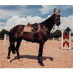 Equestrian Stockholm Bonnet Champagne -Equestrian Clothing Shop ES Set Champagne 4