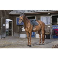 Equi-Theme Bracelet Bonnet -Equestrian Clothing Shop ET Set Bracelet Grey