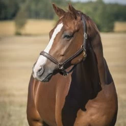 Halter Horze Largo Leather