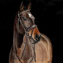 Horze Lester Bridle With Rein