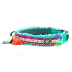 Dog With A Mission Lola Canvas Collar With Rainbow Trim -Equestrian Clothing Shop Lolacollar.jpeg1