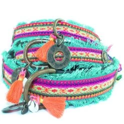 Dog With A Mission Lola Canvas Collar With Rainbow Trim -Equestrian Clothing Shop Lolacollar.jpegsq