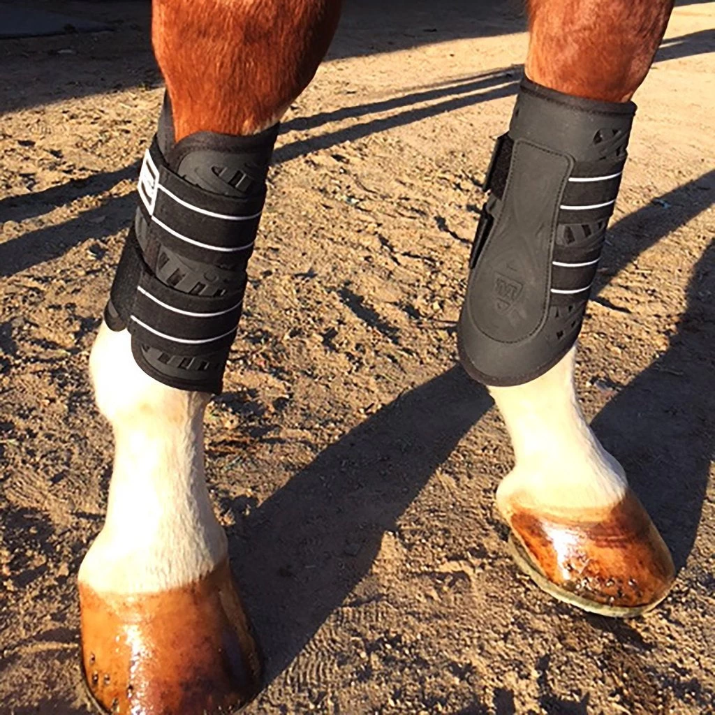 Majyk Equipe Dressage/Sport Boots 2 Majyk Equipe Dressage/Sport Boots - Image 2