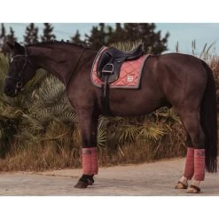 Equestrian Stockholm Fleece Bandages Rose Breeze 7 Equestrian Stockholm Fleece Bandages Rose Breeze -Equestrian Clothing Shop Rose Breeze Dressage Set ebb16698 40b7 4137 a5b6 907943cbedad