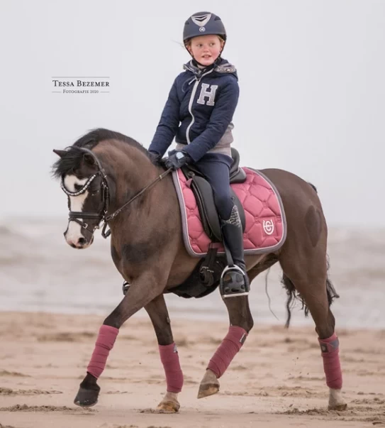 Equestrian Stockholm Fleece Bandages Rose Breeze 2 Equestrian Stockholm Fleece Bandages Rose Breeze - Image 2