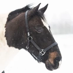 Equilibrium Stellar Weatherproof Breakaway Safety Halter -Equestrian Clothing Shop Stellar Snow Lifestyle Square Web