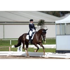 Lotus Romeo Classic Tailcoat With Crystal Buttons-NO RETURN -Equestrian Clothing Shop Tail natasha Edith