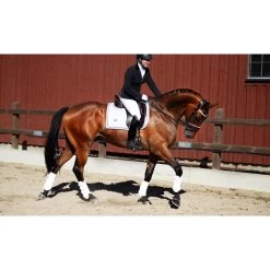 Equestrian Stockholm Dressage Saddle Pad White Perfection Navy/Silver Binding -Equestrian Clothing Shop WhitePerfectionNavyDressage2