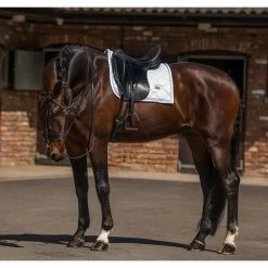Equestrian Stockholm Dressage Saddle Pad White Perfection Silver Binding -Equestrian Clothing Shop White Perfection Silver Dressage 1