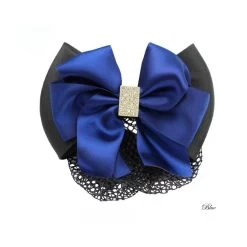 Hair Clip With Net Anaka