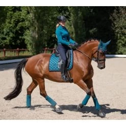 Equestrian Stockholm Dressage Saddle Pad Aurora Blues -Equestrian Clothing Shop aurora blues dr4