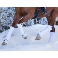 Back On Track Scandic Therapeutic Bandage Pads -Equestrian Clothing Shop back on track scandic pads