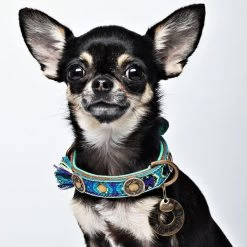 Dog With A Mission Boho Juan Fringed Dog Collar BLUE -Equestrian Clothing Shop boho juan 2 cm collar xxs 6311 en G