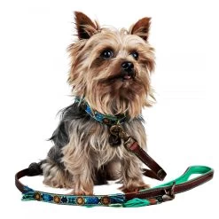 Dog With A Mission Boho Juan Fringed Dog Collar BLUE -Equestrian Clothing Shop boho juan dog leash s 8516 en G e80e65e9 d566 49c1 b66e 8be3fc7e89f7