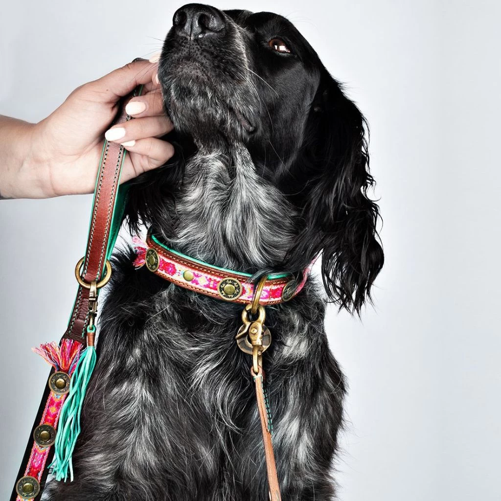 Dog With A Mission Boho Rosa Dog Lead With Colourful Tassel 2 Dog With A Mission Boho Rosa Dog Lead With Colourful Tassel - Image 2
