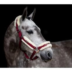 Equestrian Stockholm Fur Lined Halter And Lead Bordeaux