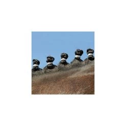 Equi Theme Braiding Rubber Bands -Equestrian Clothing Shop braiding bands