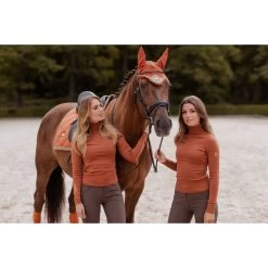 Equestrian Stockholm Polo Neck Jumper Bronze Gold -Equestrian Clothing Shop bronze gold jumperbonnetdrpad