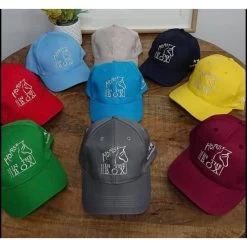 Horse In The Box Cap