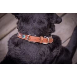 Penelope Pearl Leather Dog Collar -Equestrian Clothing Shop collier pearl noir blanc 3