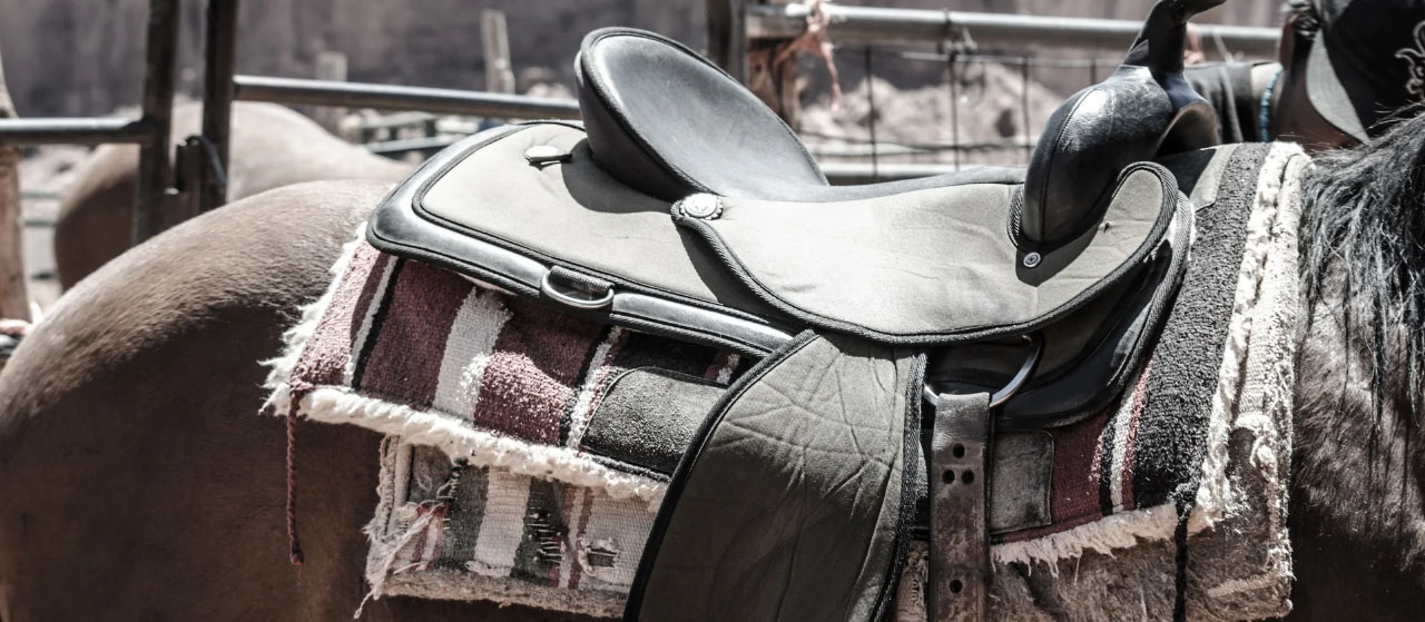 Equestrian Clothing Shop -Equestrian Clothing Shop dfdfa