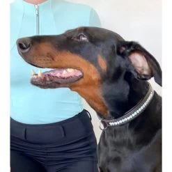 Equestrian Stockholm Leather Dog Collar With Parisian Blue Crystals -Equestrian Clothing Shop dog collar parisian blueluna