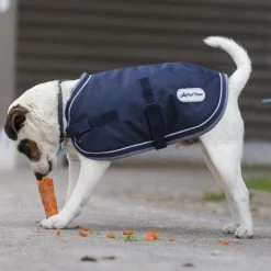 Equi Theme Deigo And Louna Waterproof Dog Rug NAVY 5 Equi Theme Deigo And Louna Waterproof Dog Rug NAVY -Equestrian Clothing Shop dogrugpaddednavy.jpg2