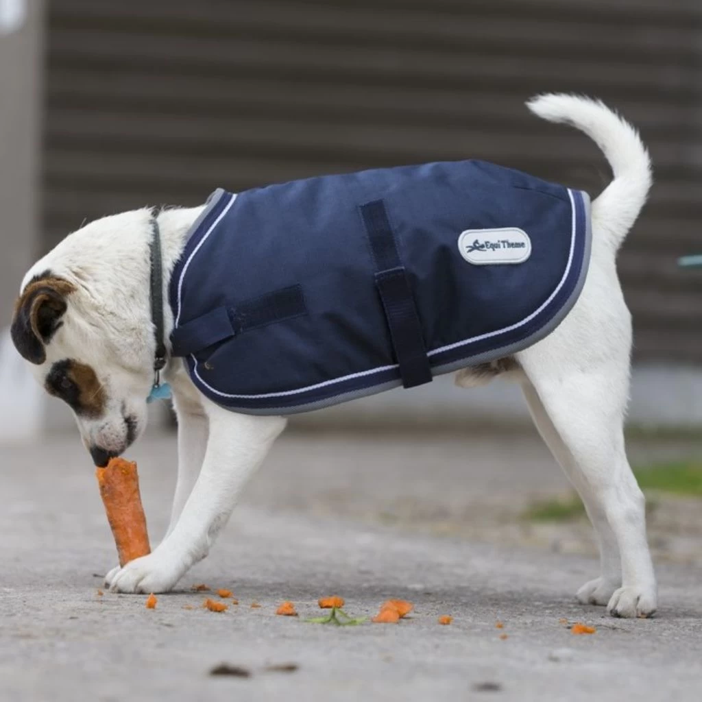 Equi Theme Deigo And Louna Waterproof Dog Rug NAVY 3 Equi Theme Deigo And Louna Waterproof Dog Rug NAVY - Image 3