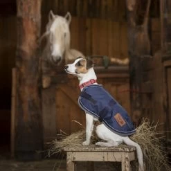 Equi Theme Deigo And Louna Waterproof Dog Rug NAVY