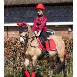 QHP Halloween Devil Ear Bonnet -Equestrian Clothing Shop halloween bonnet