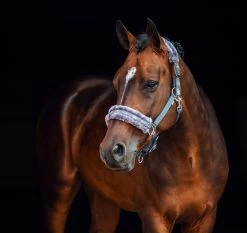 Horze Brighton Halter And Lead Set With Fur