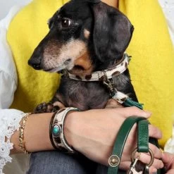 Dog With A Mission Ivy Collar And Matching Bracelet Set