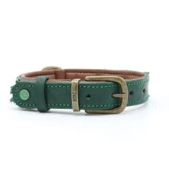 Dog With A Mission Ivy Collar And Matching Bracelet Set -Equestrian Clothing Shop ivy 2 cm collar xxs 7896 en G